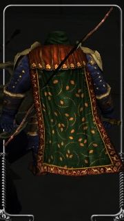 Image:Elrond's Exquisite Cloak.jpg