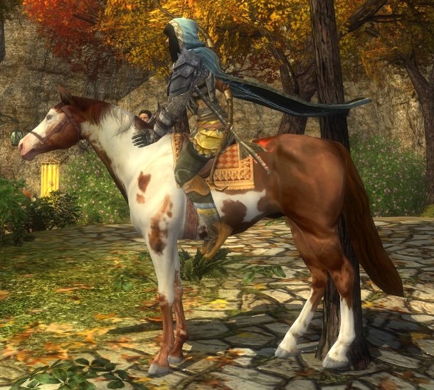 Chestnut Steed Lotro